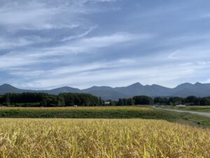 秋の八ヶ岳